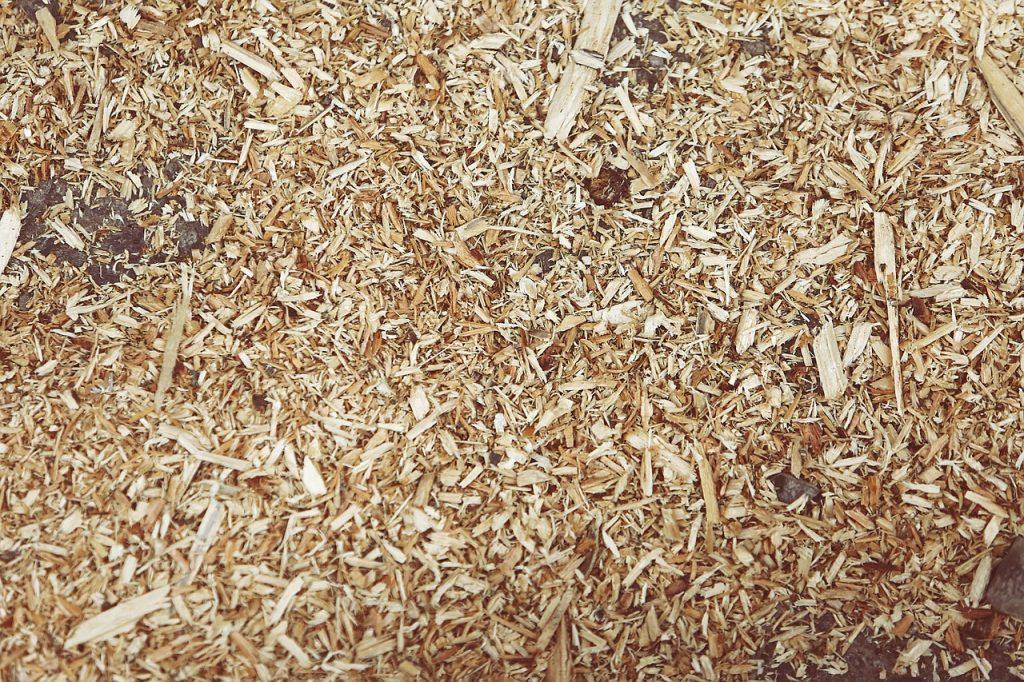 A pile of sawdust