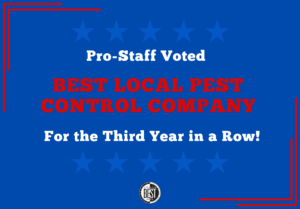 Read more about the article Pro-Staff Voted Best Local Pest Control Company for the Third Year in a Row