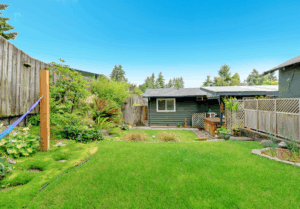 Read more about the article Top 5 Places Pests Hide in People’s Yards