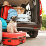 How to Avoid Bringing Bed Bugs Home from Summer Vacation