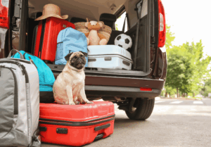 Read more about the article How to Avoid Bringing Bed Bugs Home from Summer Vacation