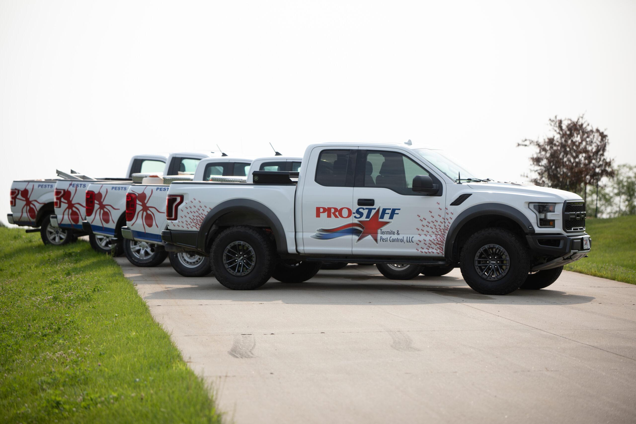 Read more about the article What Happens When You Don’t Have Commercial Pest Control