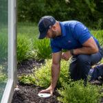 What to Do About Termites